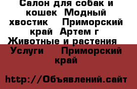 Салон для собак и кошек “Модный хвостик“ - Приморский край, Артем г. Животные и растения » Услуги   . Приморский край